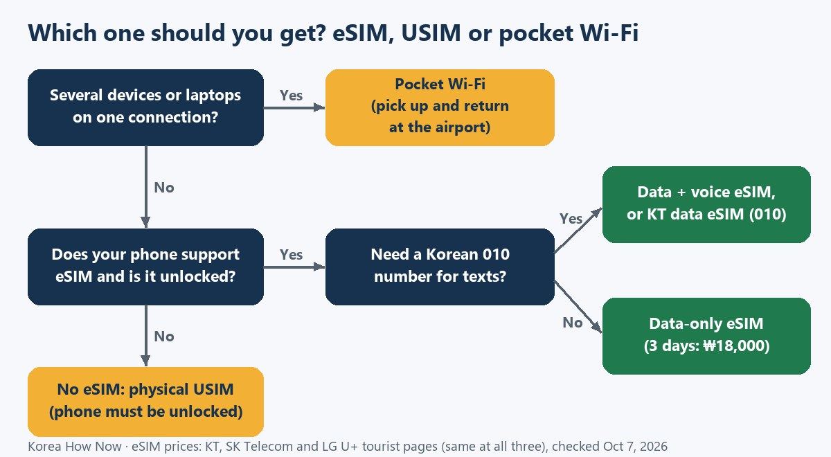 Flowchart: several devices → pocket Wi-Fi; phone without eSIM → physical USIM; eSIM phone needing a Korean 010 number → data + voice eSIM or KT data eSIM; otherwise data-only eSIM